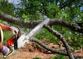 Best Hazardous Tree Removal  in Lyles, TN